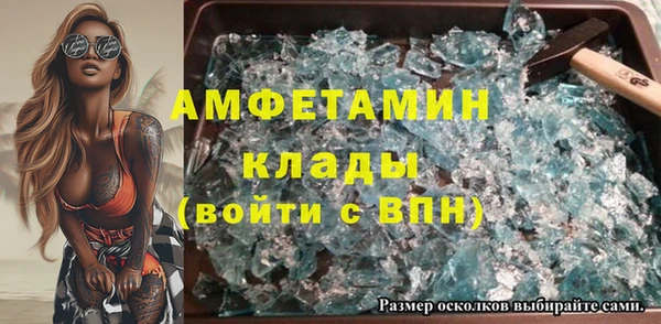 индика Алзамай