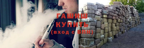 индика Алзамай