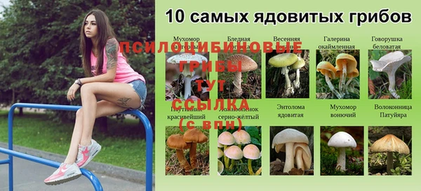 кокс Алексин