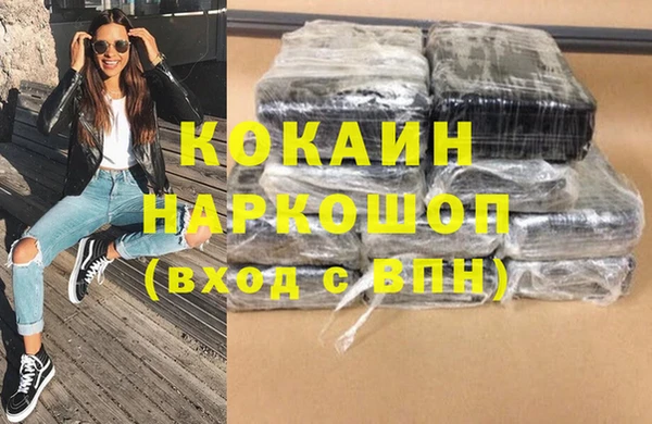 индика Алзамай