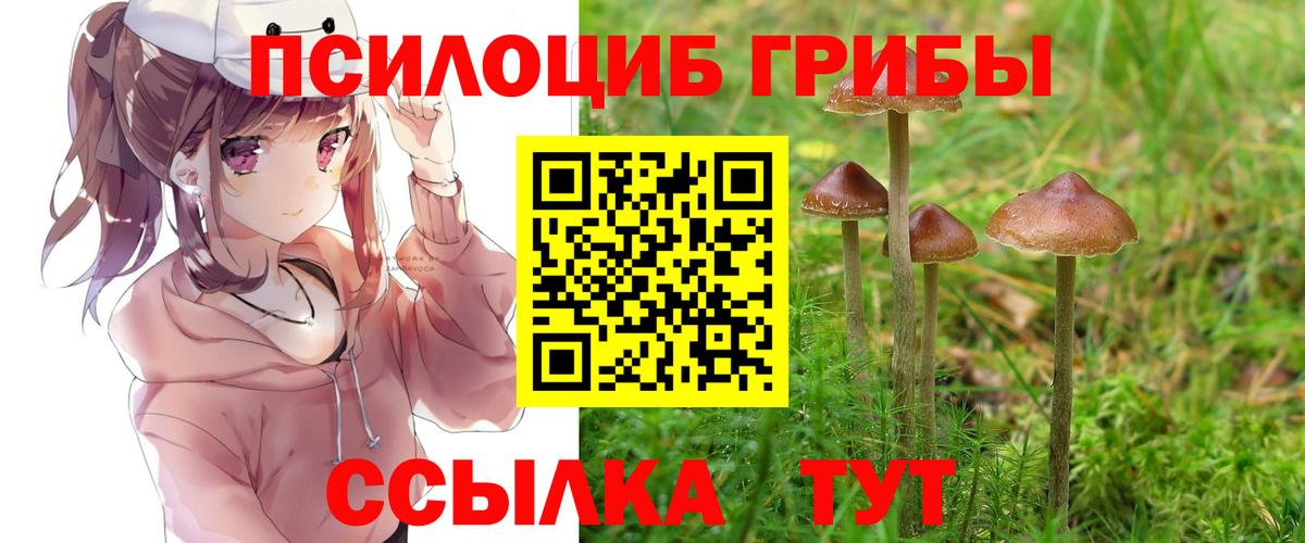 Одинцово  Псилоцибиновые грибы Psilocybe  Вход с VPN 